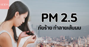 PM2.5 ทำร้ายเส้นผมได้อย่างไร